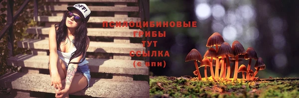 молекула духа Инта