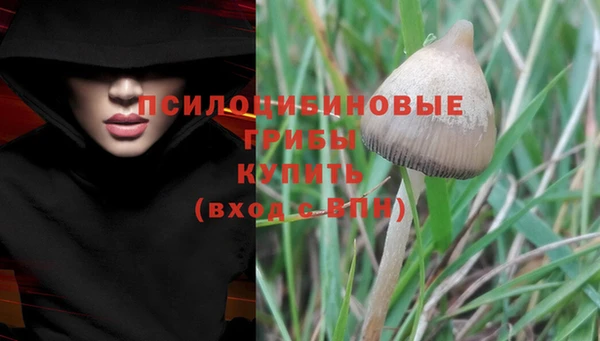 MDMA Инсар