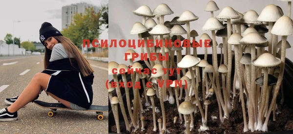 молекула духа Инта