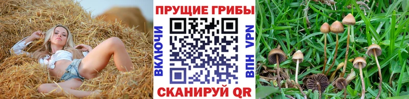 Псилоцибиновые грибы Magic Shrooms Арск
